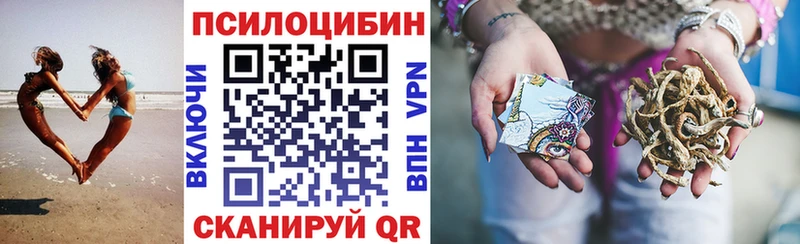 Псилоцибиновые грибы Cubensis  omg ссылка  Беломорск  наркотики 